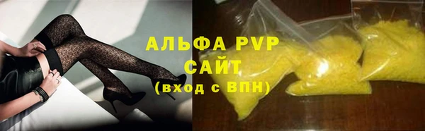 сатива Аркадак