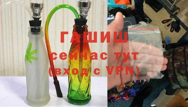 сатива Аркадак