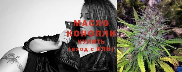 сатива Аркадак