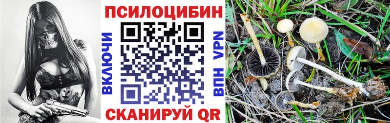 Галлюциногенные грибы мухоморы  ОМГ ОМГ онион  Магадан  купить наркотик 